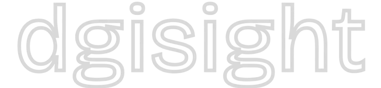 dgisight logo